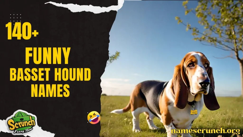 Funny Basset Hound Names 