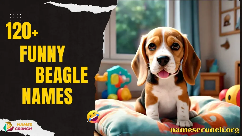 Funny Beagle Names