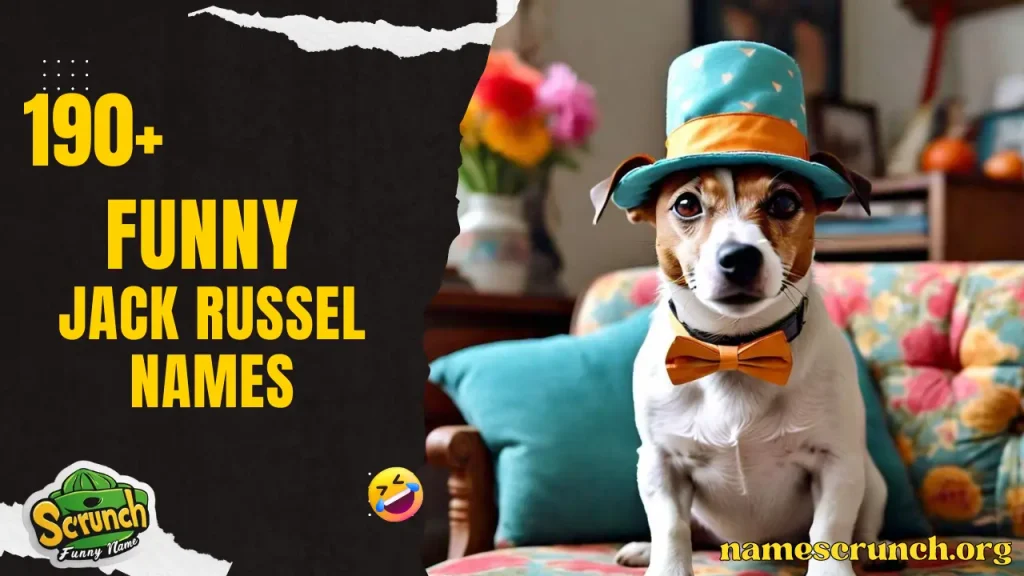 Funny-Jack-Russell-names